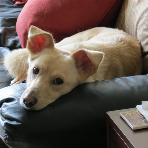 Diana/Johns Place inside  6 of  6 (#4034)