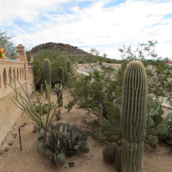 Outside Mission San Xavier Del Bac  3 of  9 (#4041)