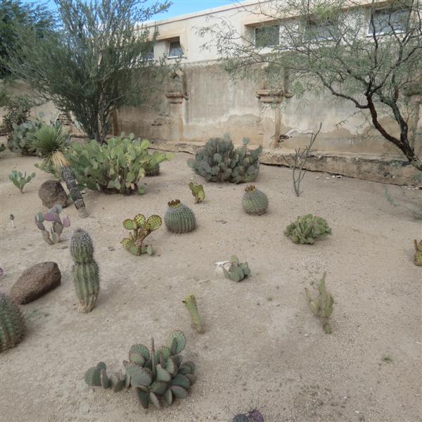 Outside Mission San Xavier Del Bac  4 of  9 (#4049)