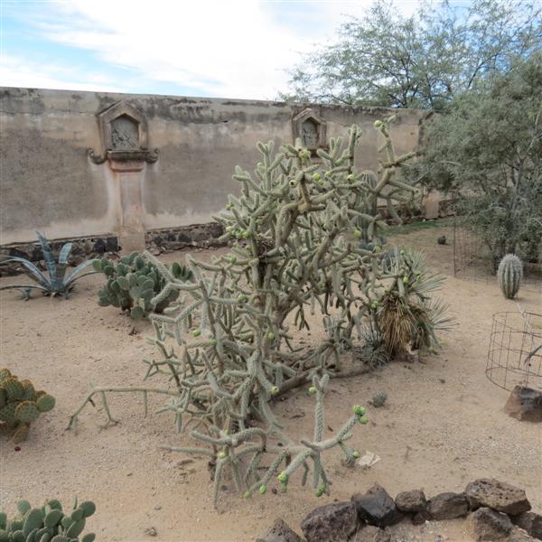Outside Mission San Xavier Del Bac  5 of  9 (#4050)