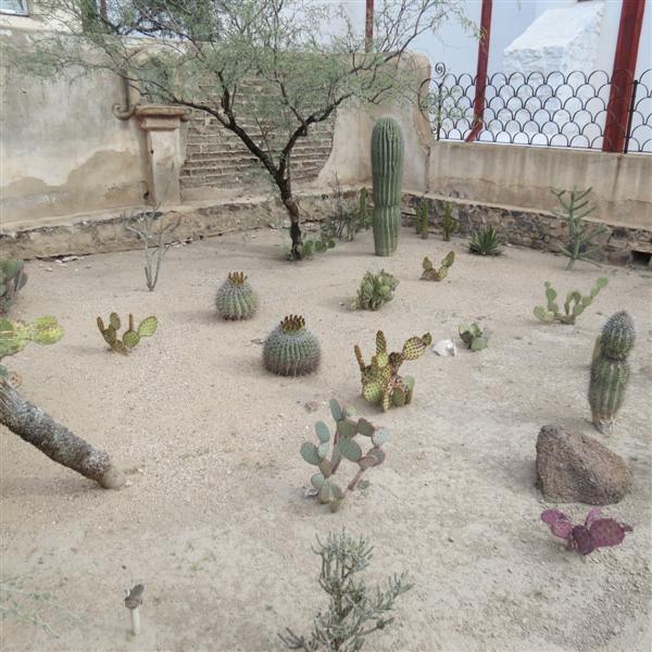 Outside Mission San Xavier Del Bac  6 of  9 (#4051)