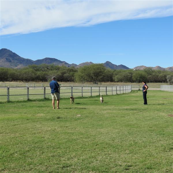 Dog park near Tubac AZ  1 of  9 (#4056)