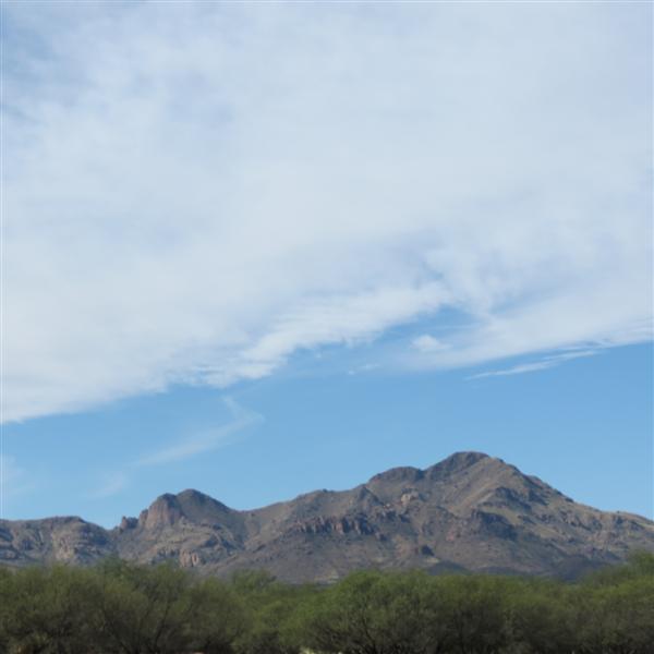 Scenery near the dog park near Tubac AZ  2 of  3 (#4058)