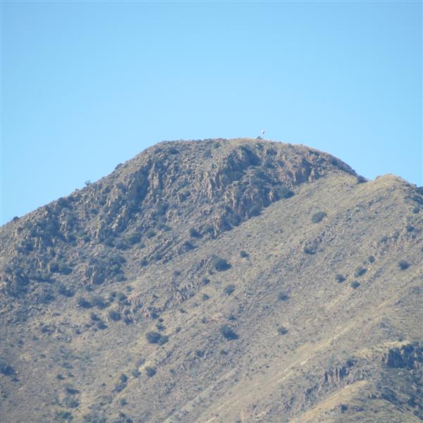 Scenery near the dog park near Tubac AZ  3 of  3 (#4059)