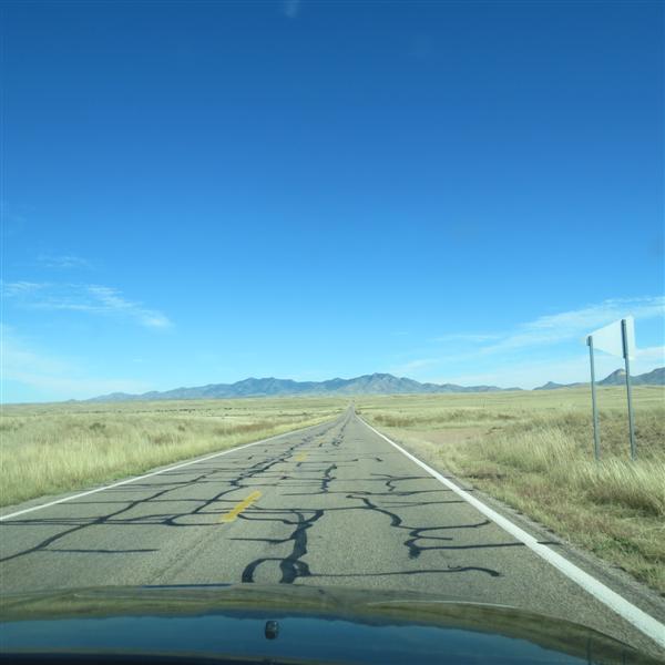 Along the road to Tombstone AZ  1 of  2 (#4081)