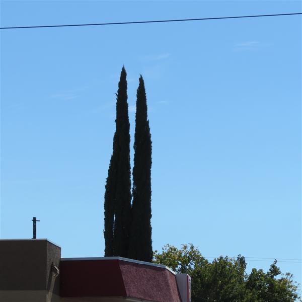 Tombstone AZSites  1 of 16 (#4085)