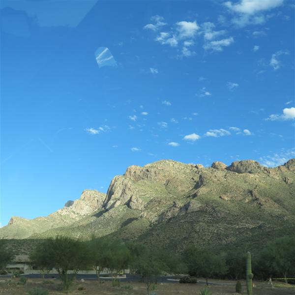 Along the road in northeast Tucson  1 of  7 (#4102)