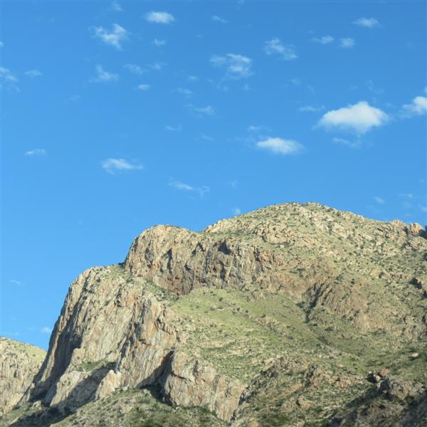 Along the road in northeast Tucson  2 of  7 (#4103)