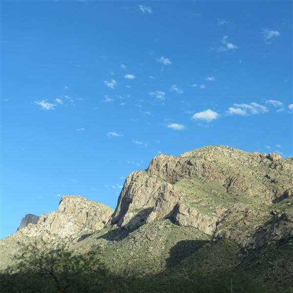 Along the road in northeast Tucson  4 of  7 (#4105)