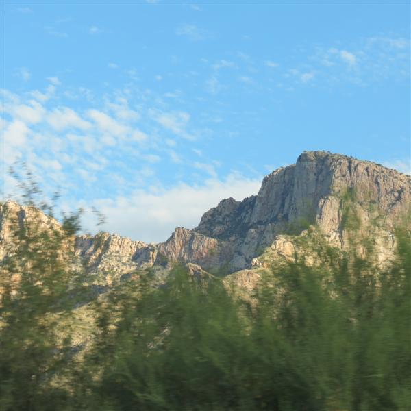 Along the road in northeast Tucson  6 of  7 (#4107)