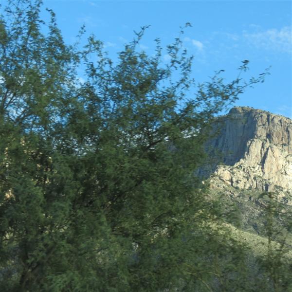 Along the road in northeast Tucson  7 of  7 (#4110)