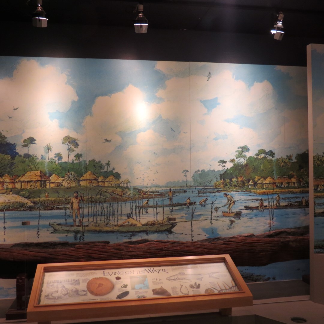 Ft. Caroline Visitor Center  3 of 10 (#4958)