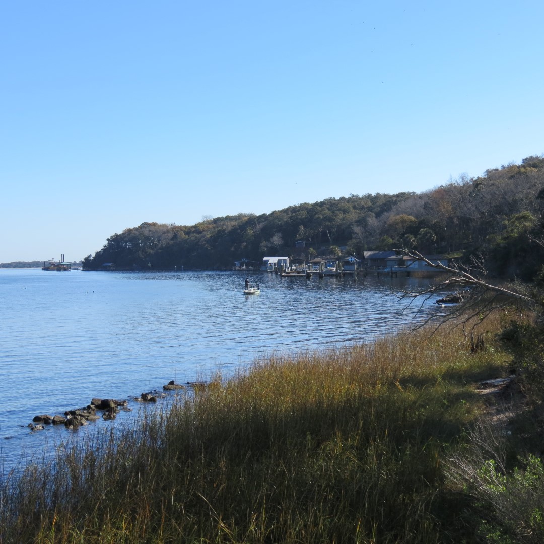 Ft. Caroline Area  6 of 16 (#4972)