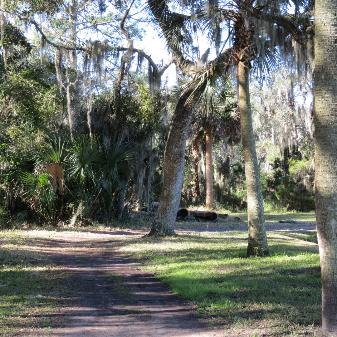 Ft. Caroline Area 15 of 16 (#4983)