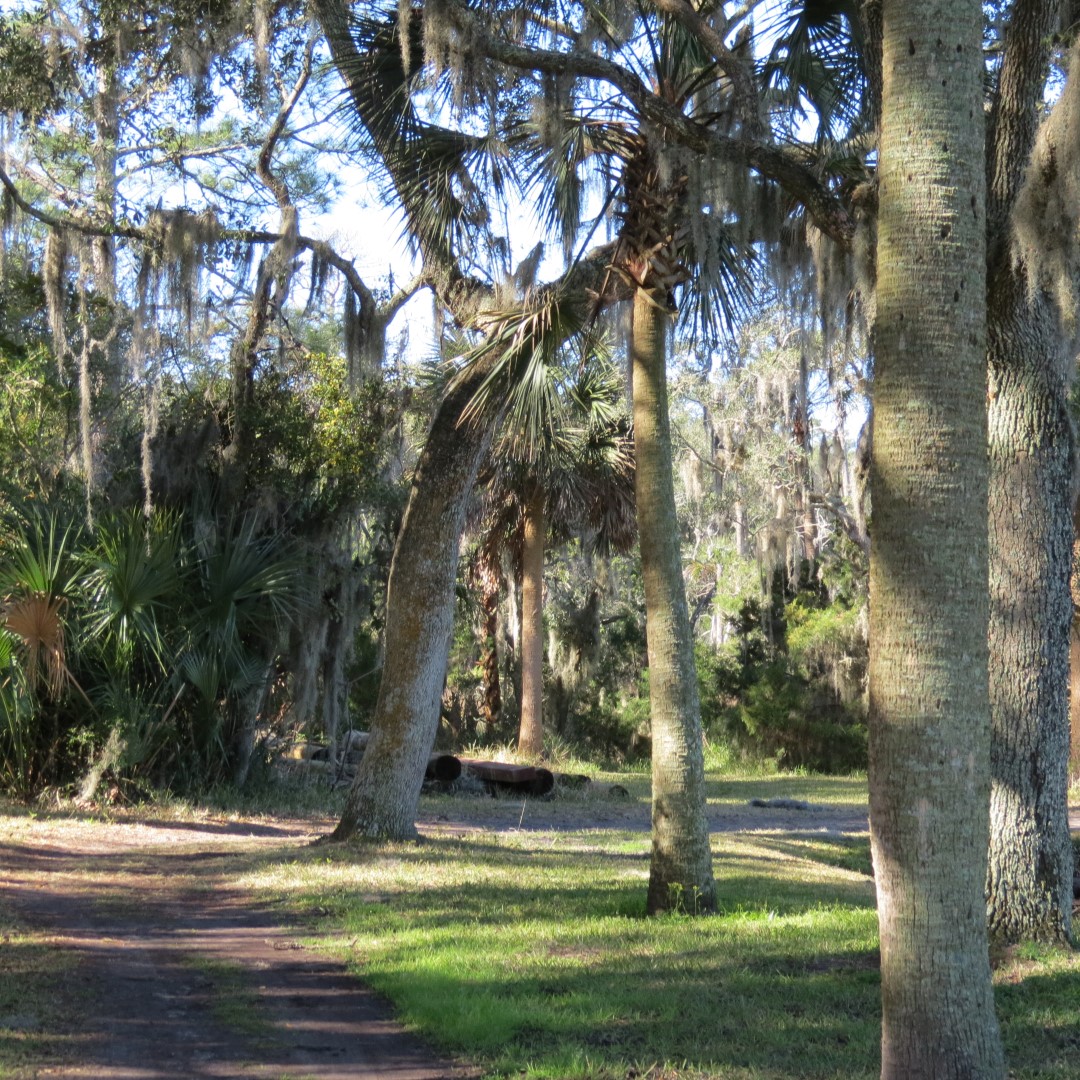 Ft. Caroline Area 16 of 16 (#4984)