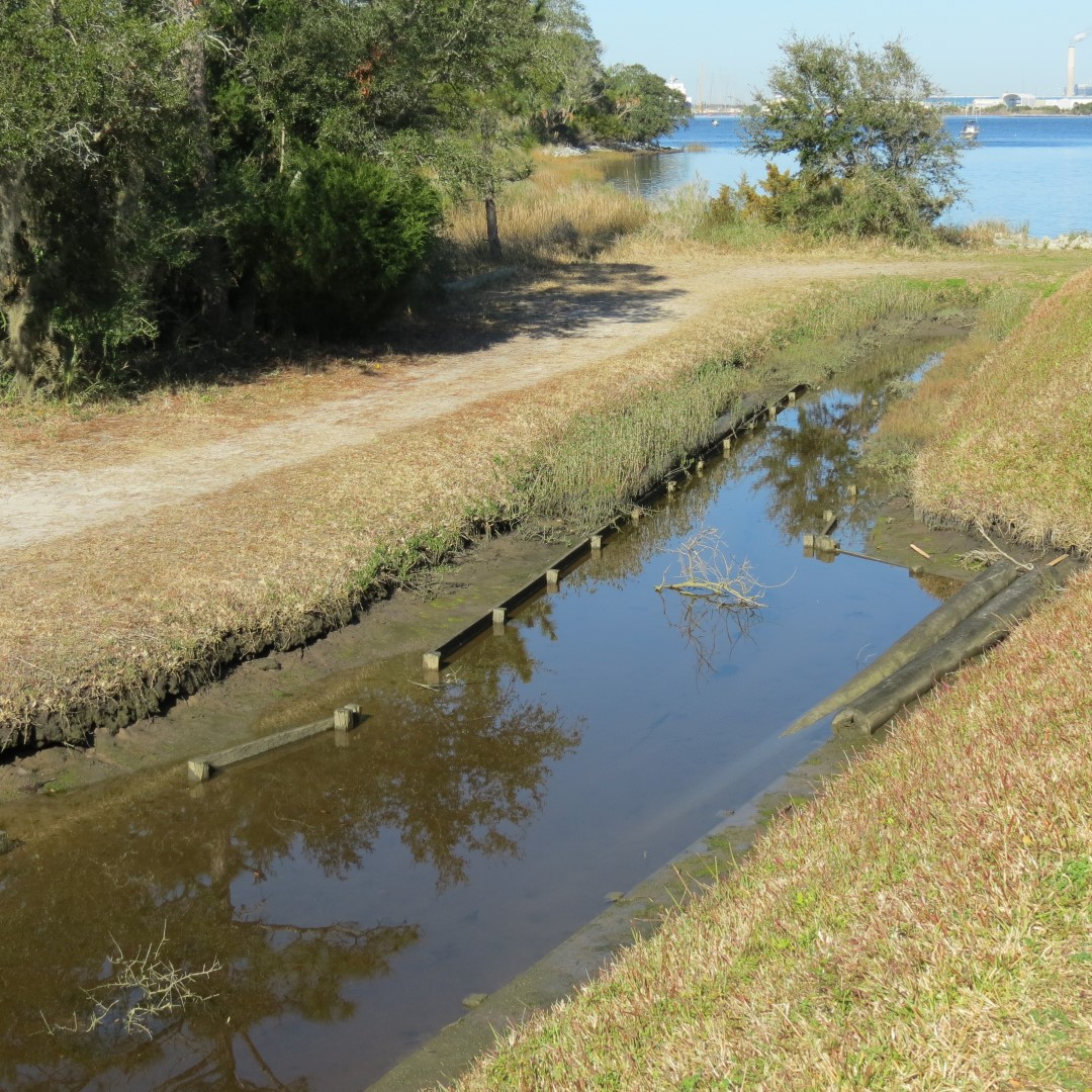 Ft. Caroline Fort  8 of 12 (#4990)