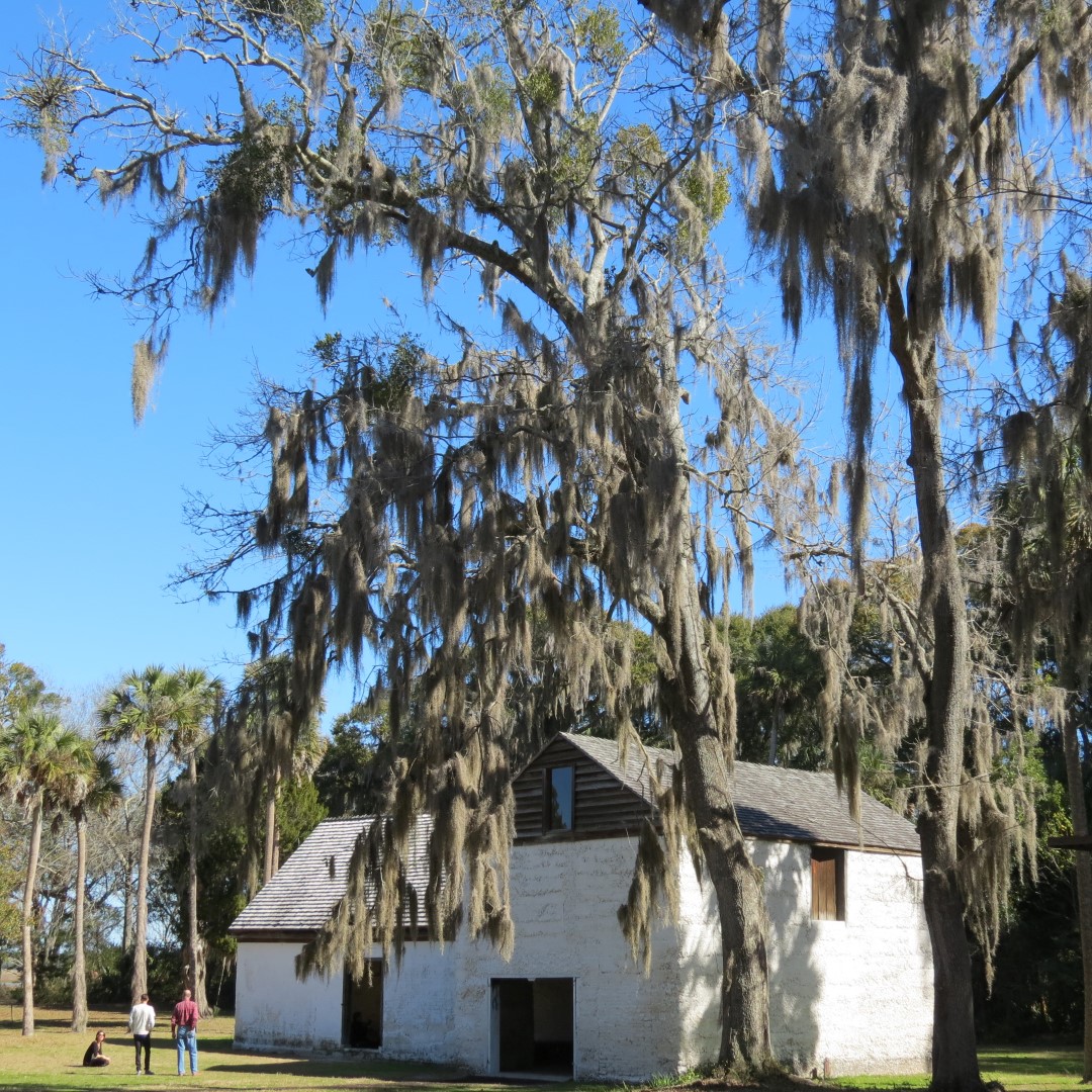 Kingsley Plantation  2 of 15 (#5014)