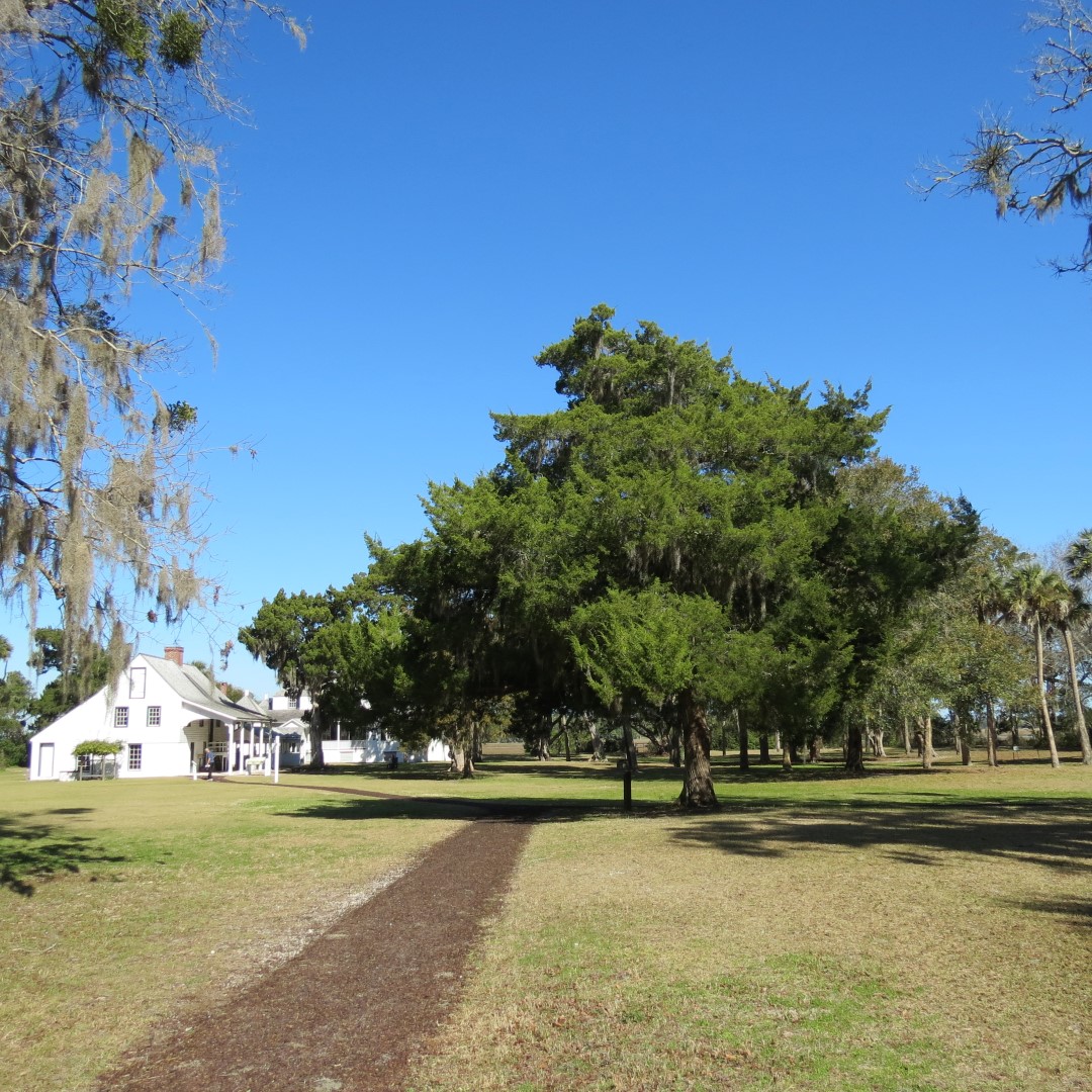 Kingsley Plantation  3 of 15 (#5015)