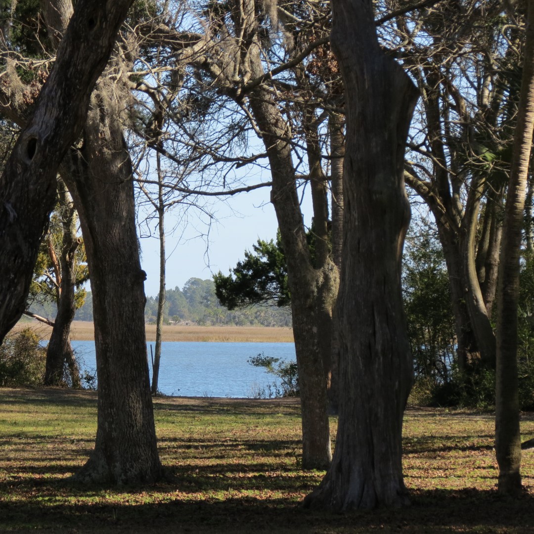 Kingsley Plantation  4 of 15 (#5016)