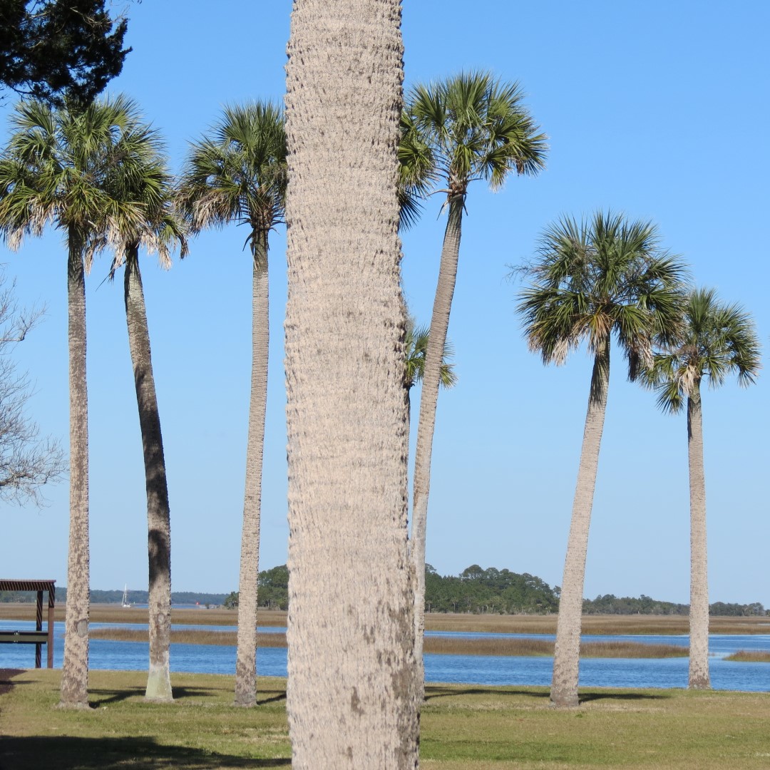 Kingsley Plantation  8 of 15 (#5020)