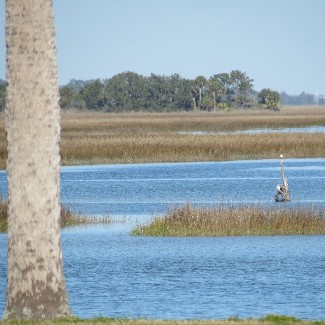 Kingsley Plantation  9 of 15 (#5021)
