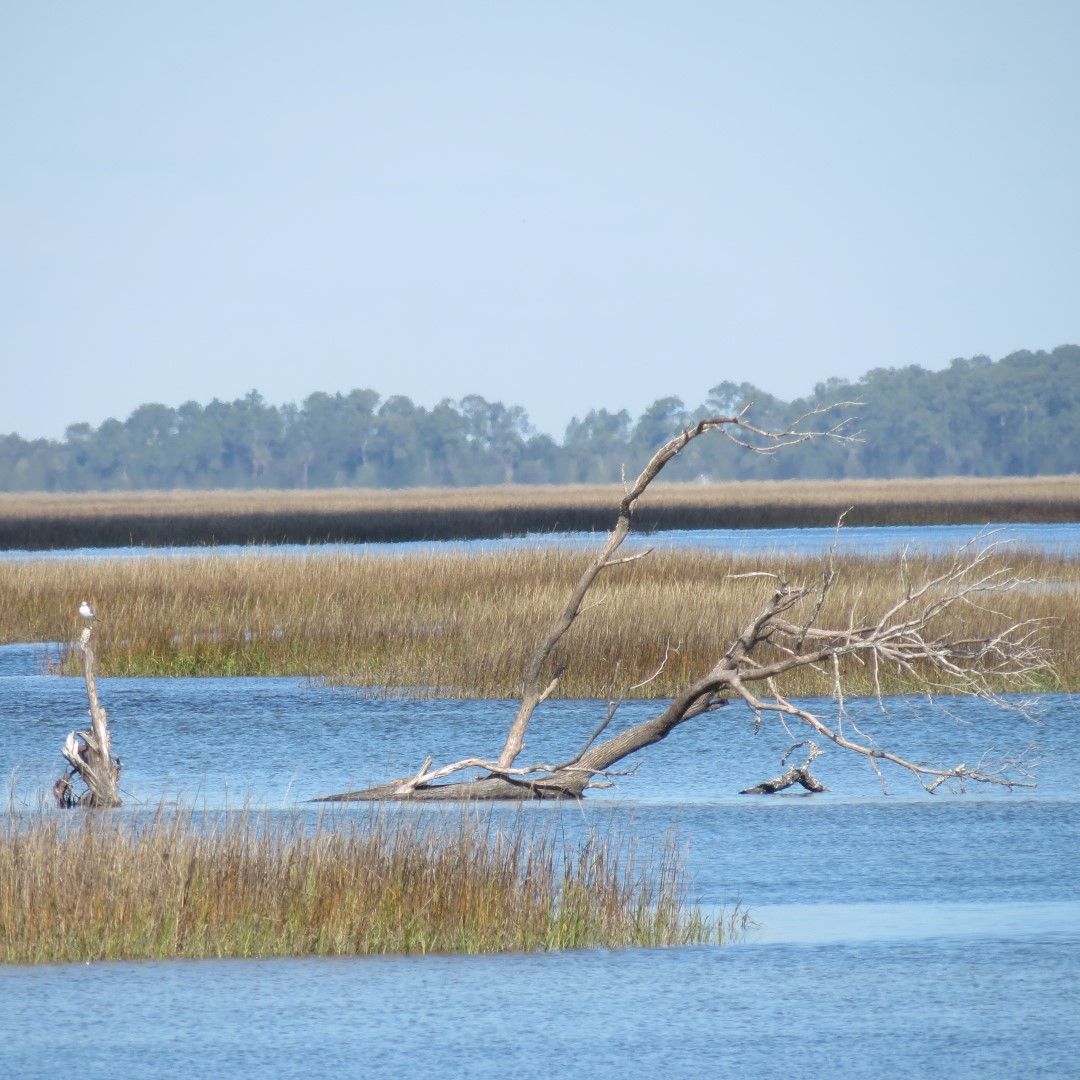 Kingsley Plantation 15 of 15 (#5027)