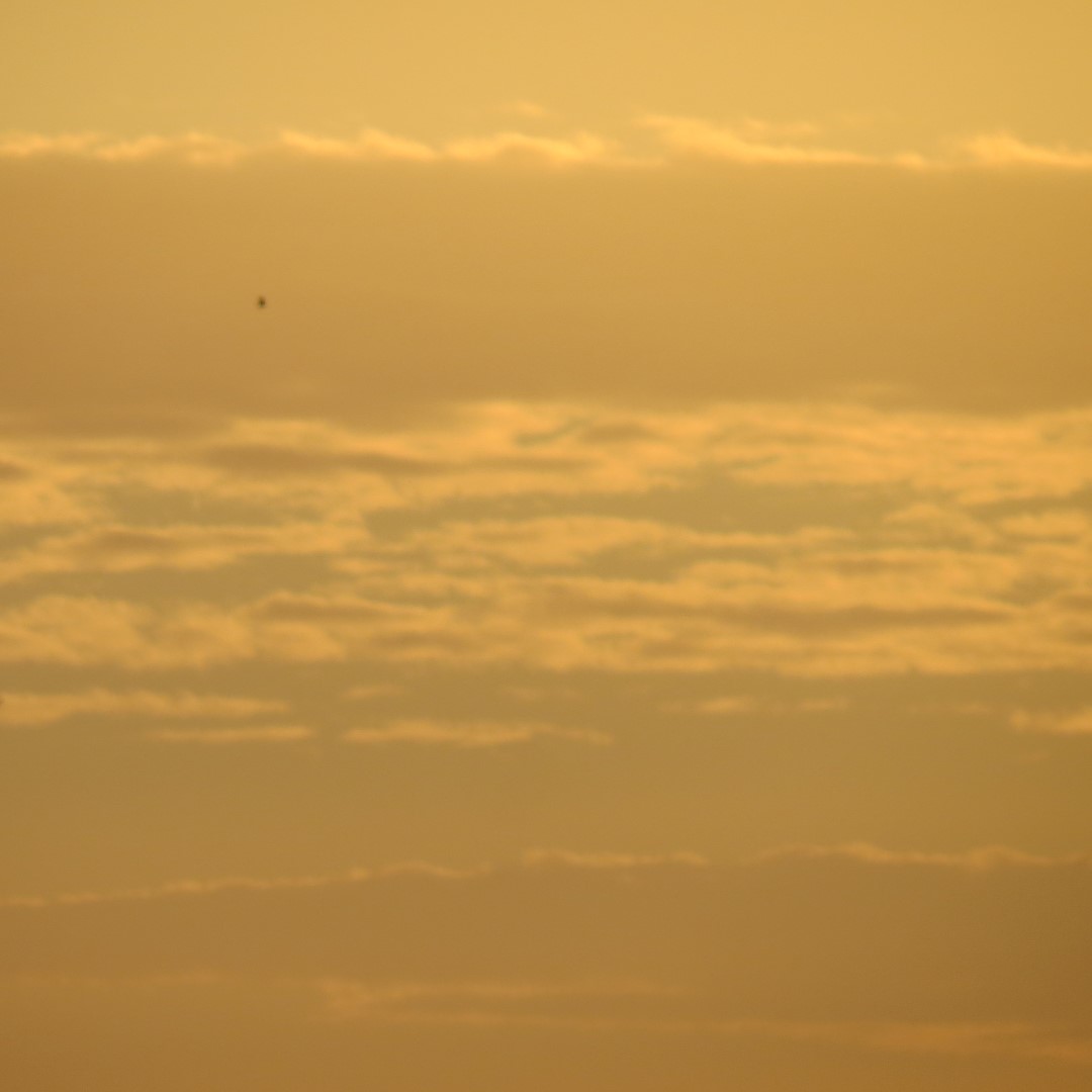 Sky near sunset from Bradenton  4 of 13 (#5072)