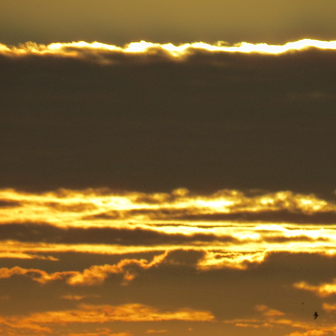 Sunset from Bradenton 13 of 38 (#5081)