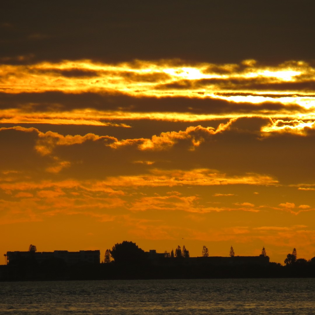 Sunset from Bradenton 14 of 38 (#5082)