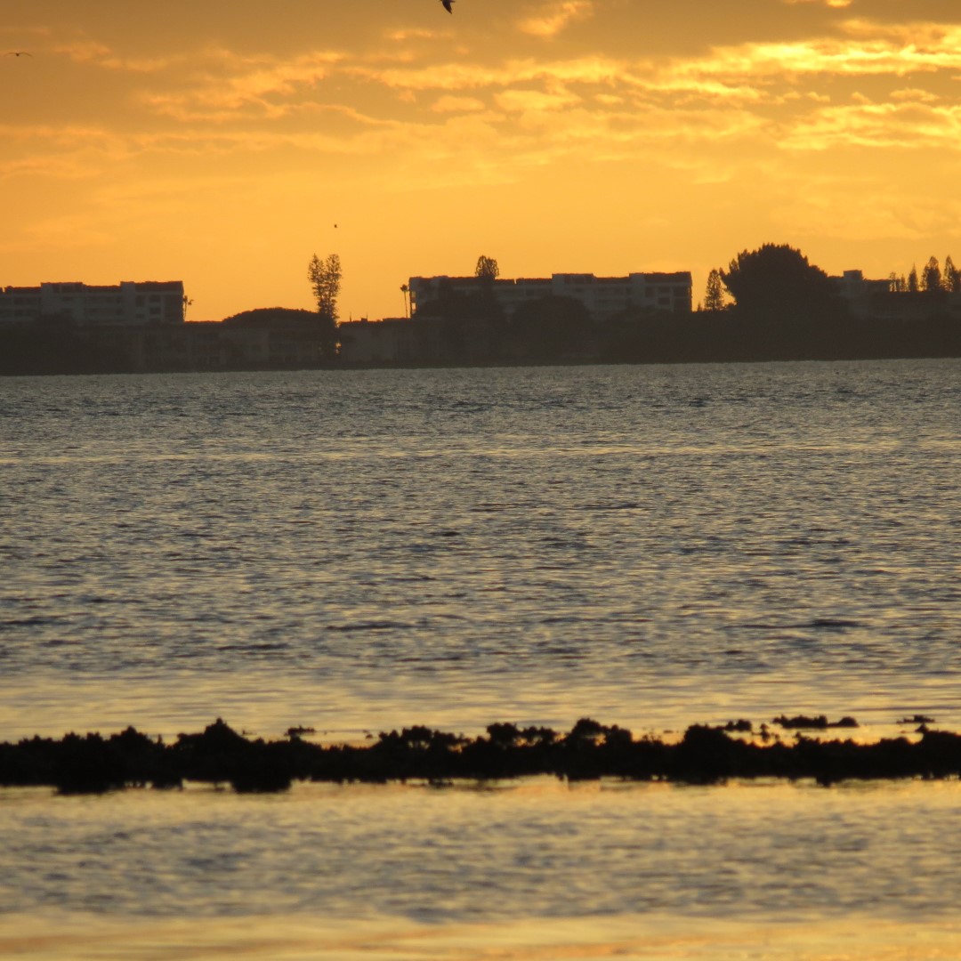 Sky near sunset from Bradenton  8 of 13 (#5084)