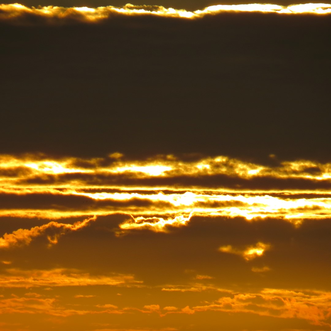 Sunset from Bradenton 16 of 38 (#5086)