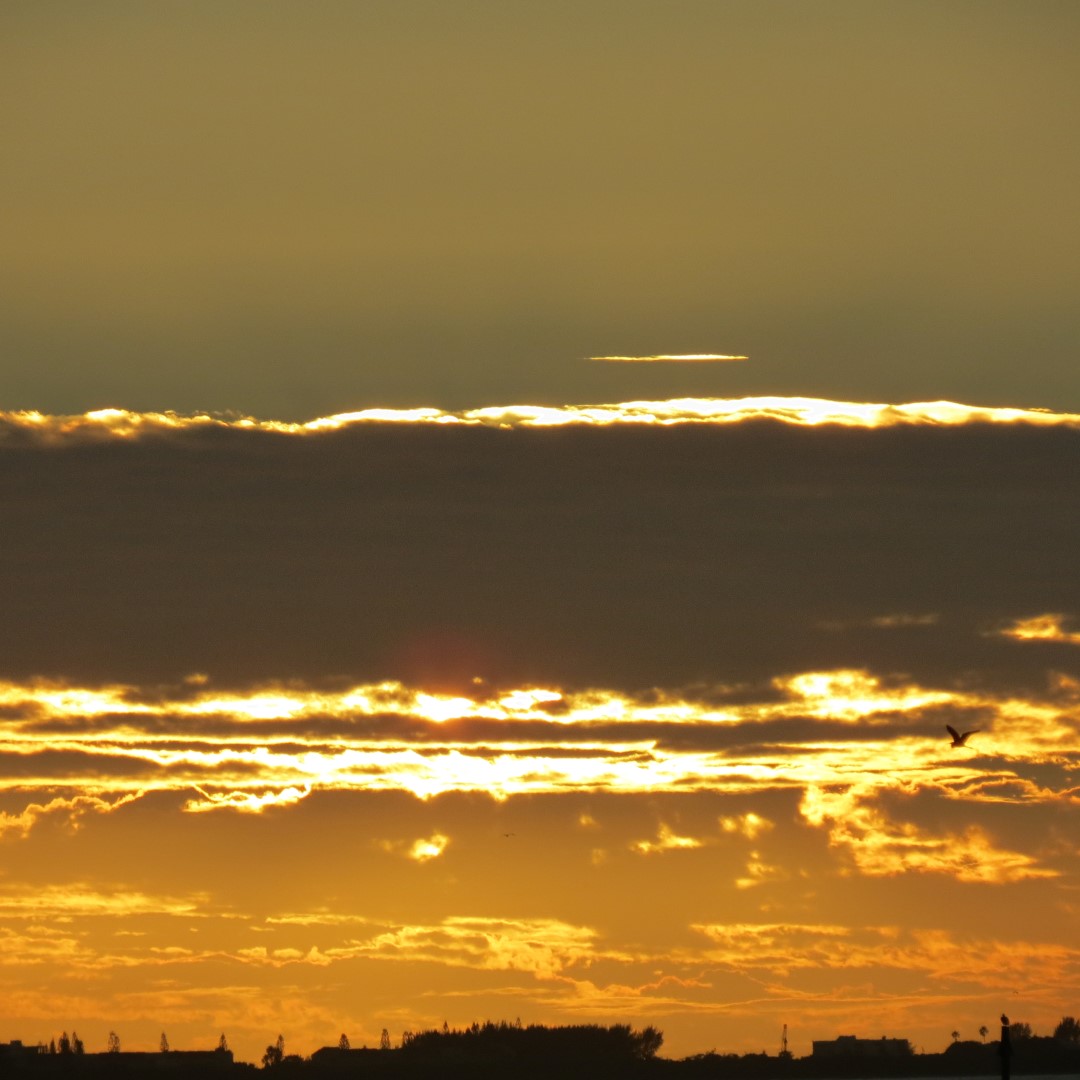 Sunset from Bradenton 19 of 38 (#5091)