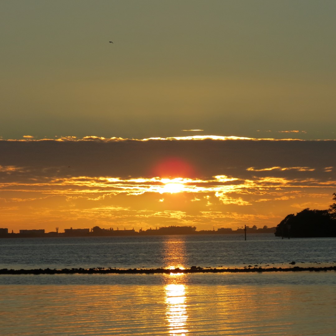 Sunset from Bradenton 22 of 38 (#5095)