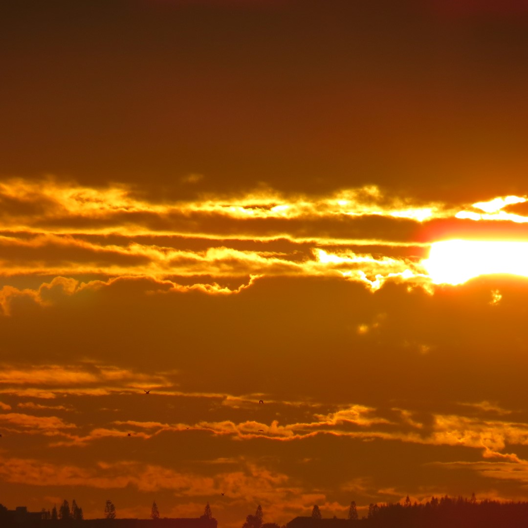 Sunset from Bradenton 26 of 19 (#5102)