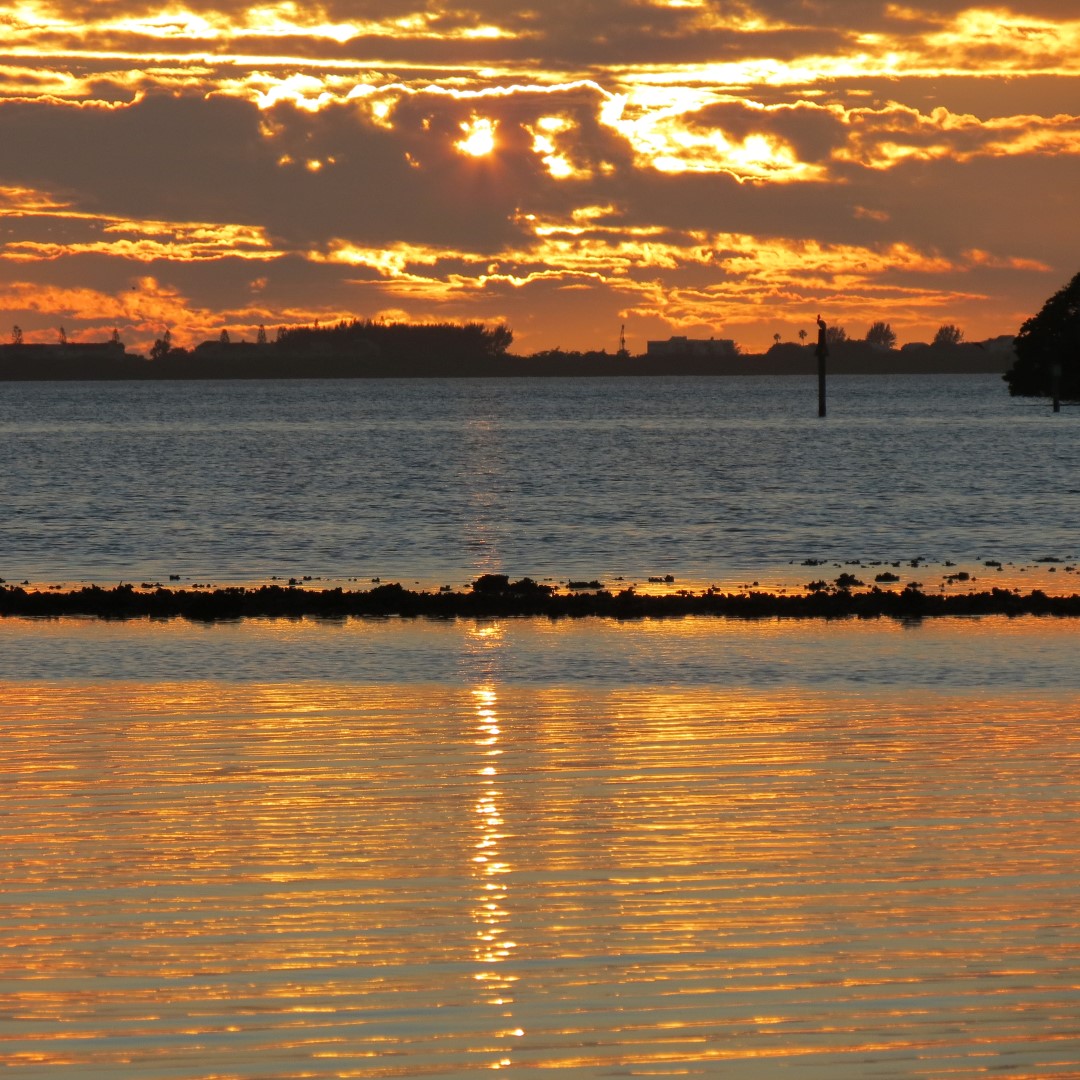 Sunset from Bradenton 30 of 38 (#5110)