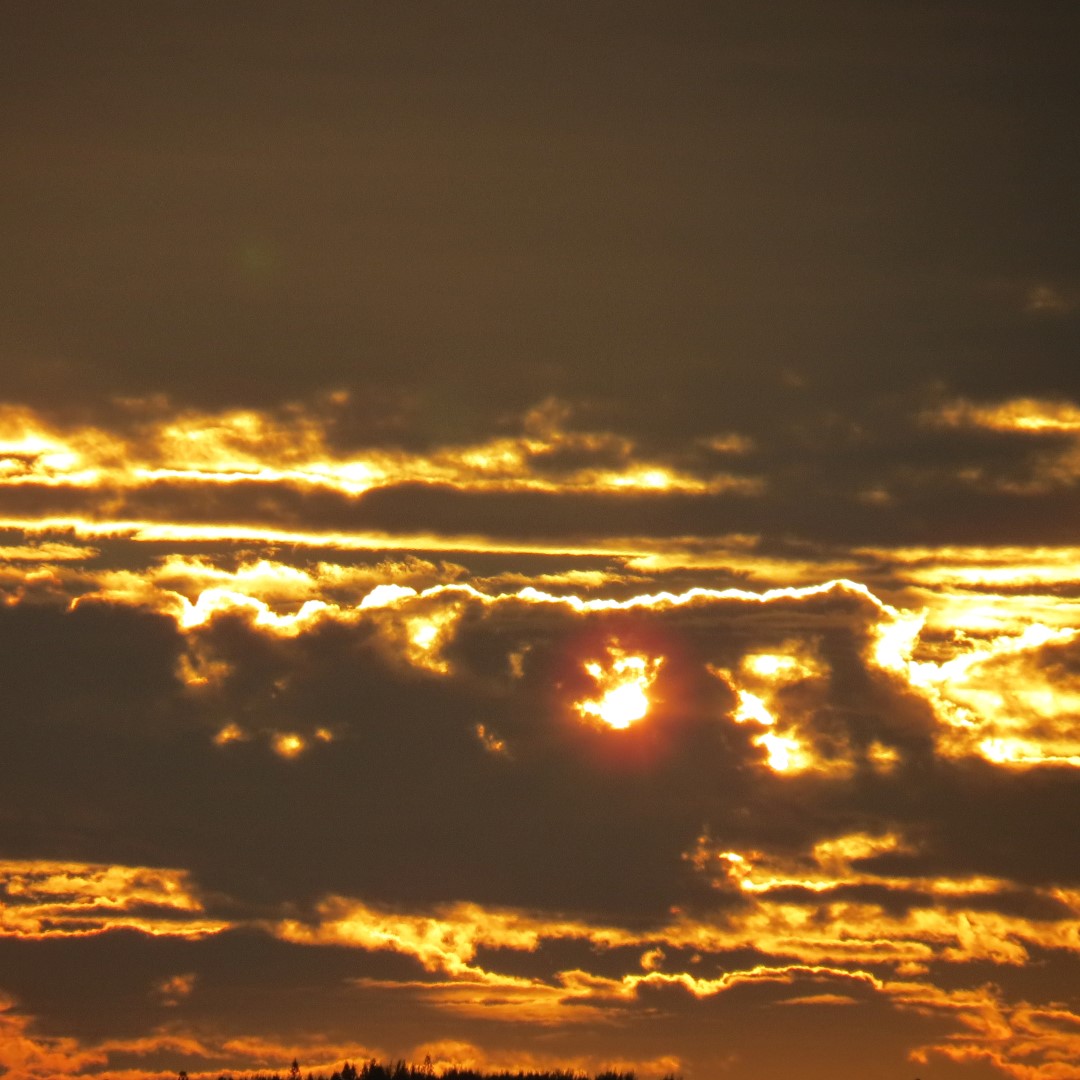 Sunset from Bradenton 31 of 38 (#5111)