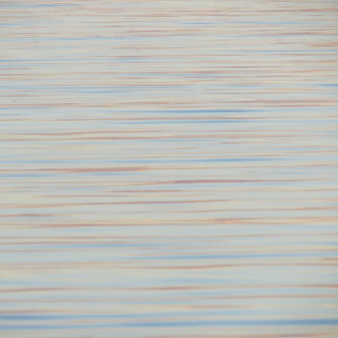 Birds and the Gulf Water near sunset from Bradenton  9 of 21 (#5114)