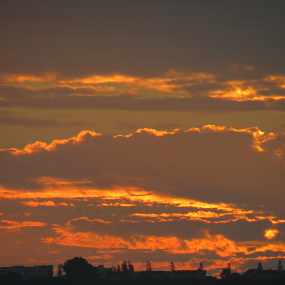 Sunset from Bradenton 36 of 38 (#5126)