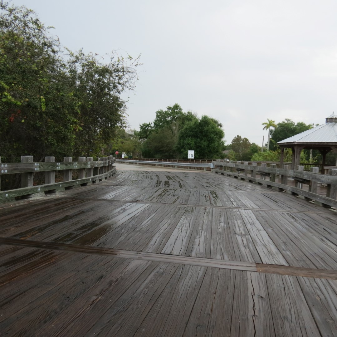 Naples Convervatory (in the rain)  3 of 6 (#5137)