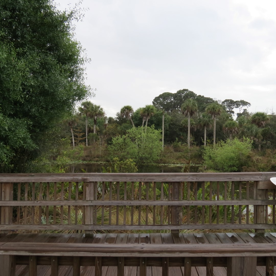 Naples Convervatory (in the rain)  4 of 6 (#5138)