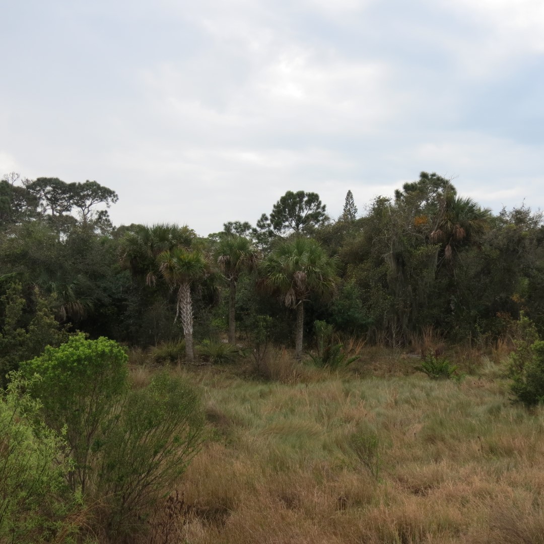 Naples Convervatory (in the rain)  6 of 6 (#5140)