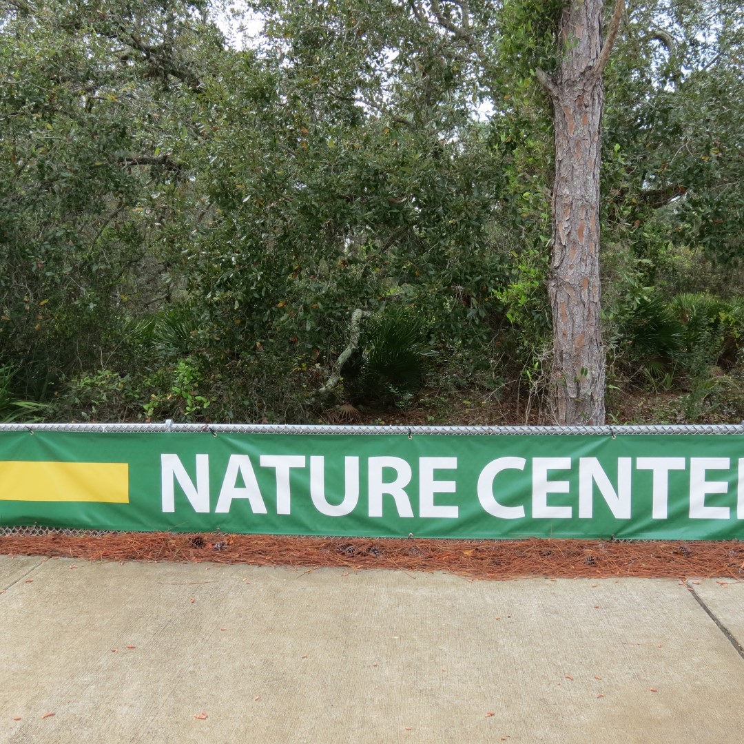 Naples Convervatory (in the rain)  1 of 6 (#5141)