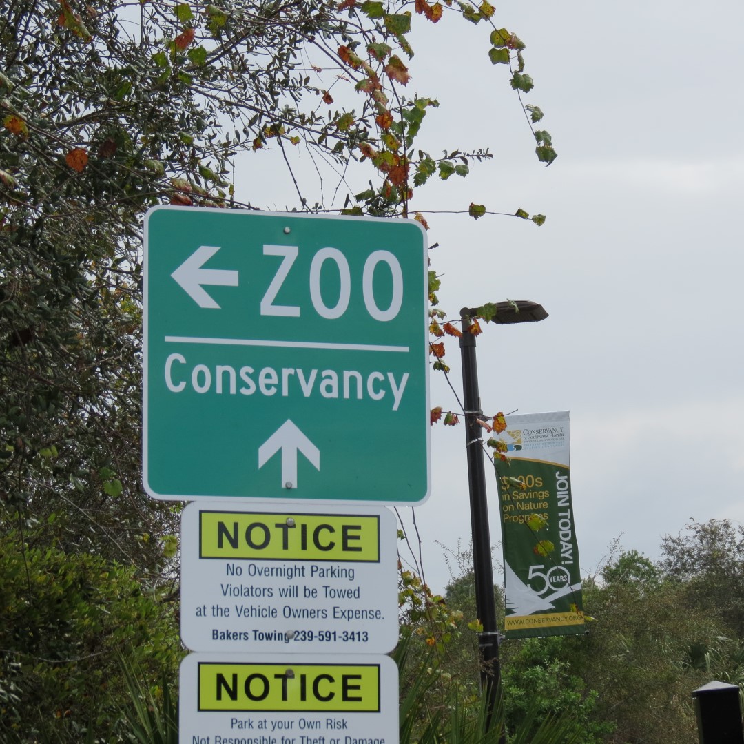 Naples Convervatory (in the rain)  2 of 6 (#5142)