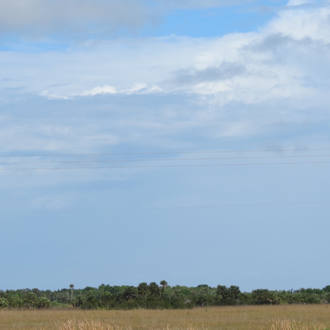 Big Cypress West Visitor Center 3 of 7 (#5145)