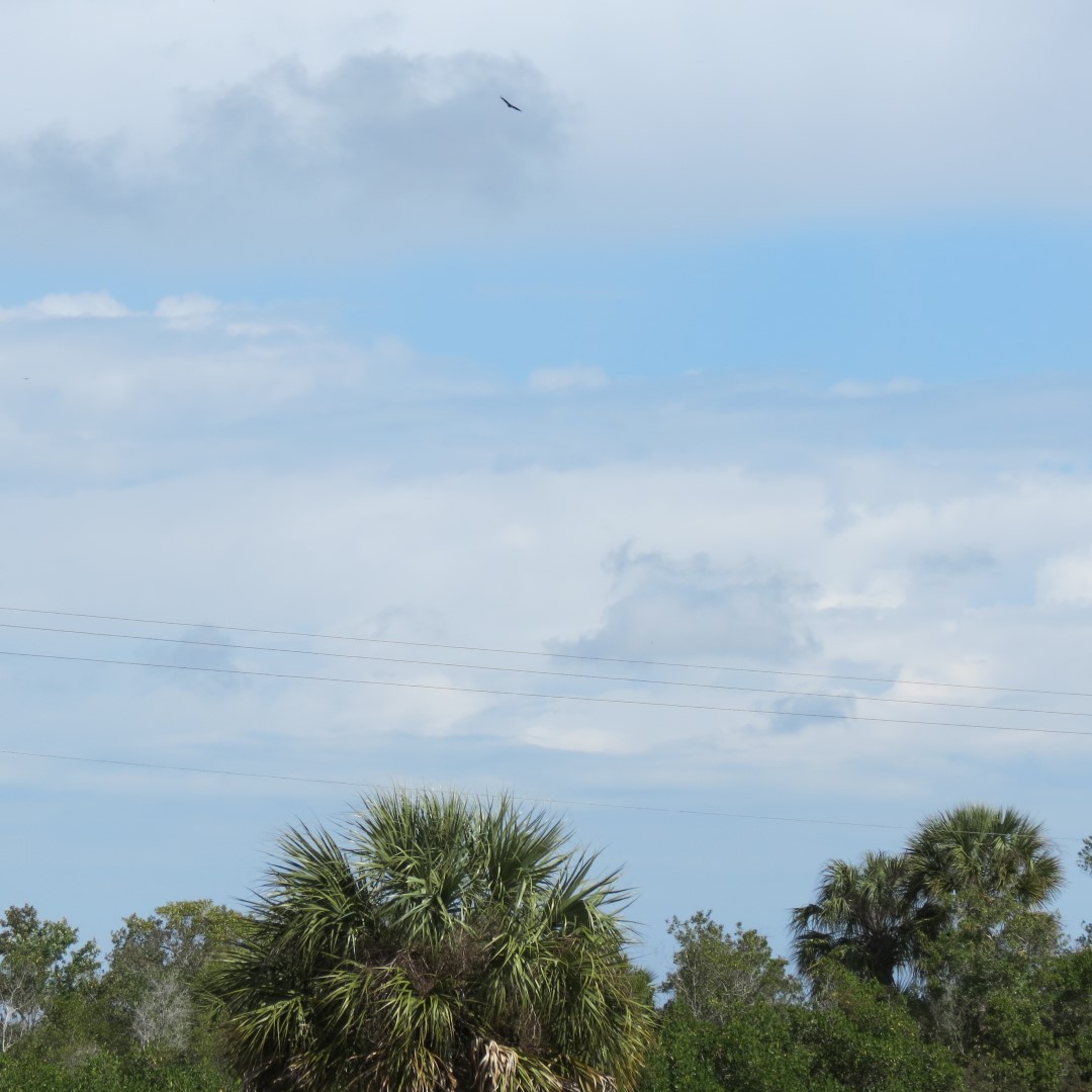 Big Cypress West Visitor Center 4 of 7 (#5146)