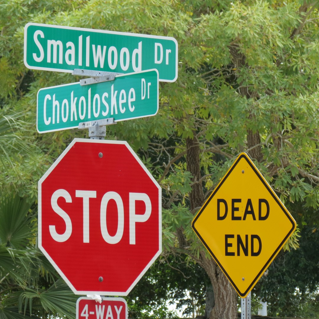 Big Cypress south end of highway 29 14 of 14 (#5157)