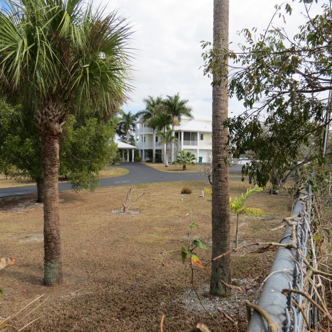Big Cypress mansion at end of highway 29  1 of 3 (#5158)