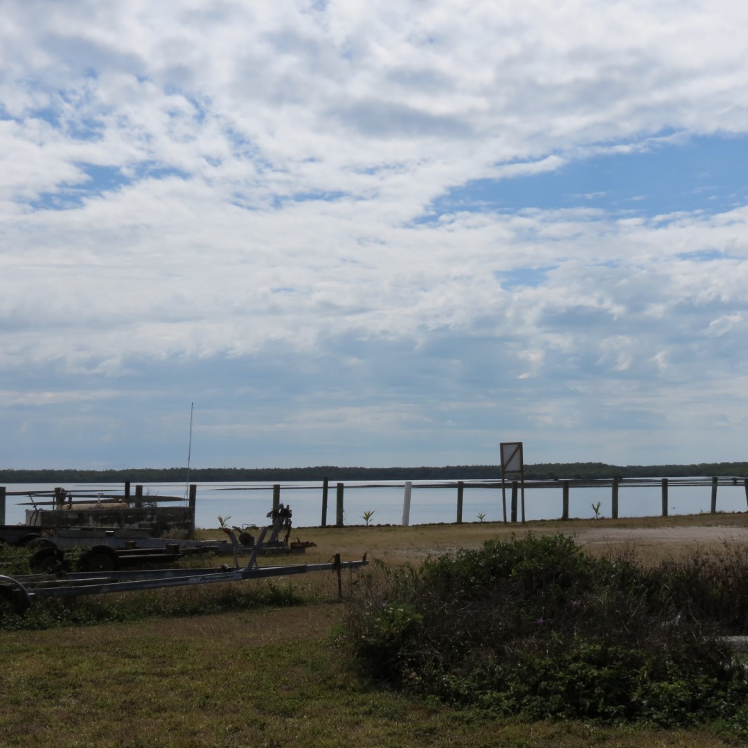Big Cypress south end of highway 29  7 of 14 (#5162)
