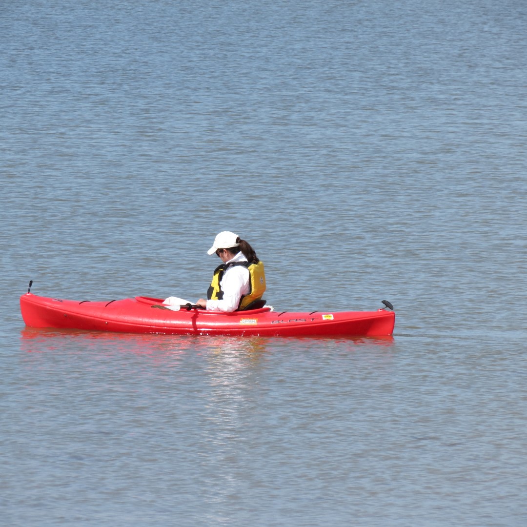 Big Cypress miscellaneous at the end of highway 29  1 of 3 (#5165)