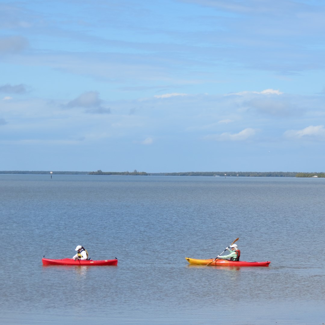 Big Cypress miscellaneous at the end of highway 29  2 of 3 (#5166)